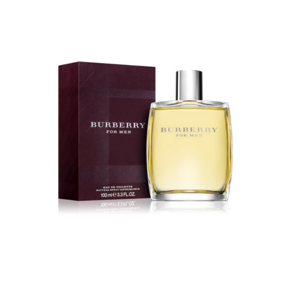 BURBERRY|EAU DE TOILETTE|FOR MEN|100ml